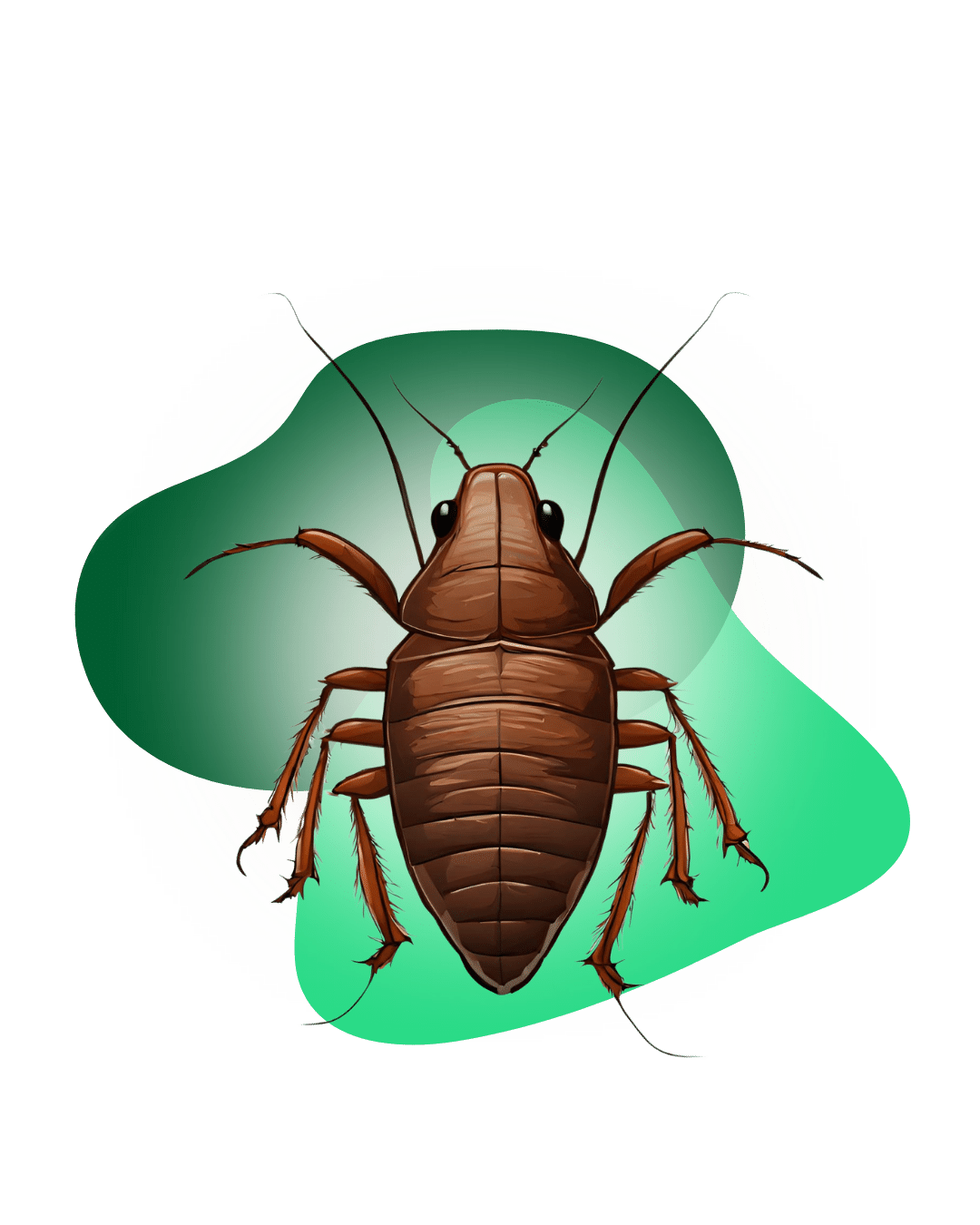 Cockroaches Control Philadelphia | Natural Pest